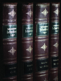 Schweizerisches Idiotikon, Band X