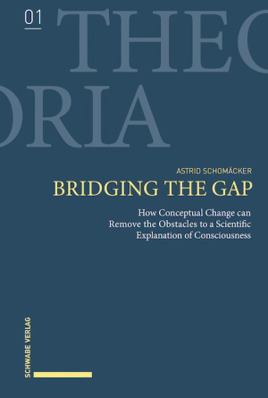Bridging the Gap